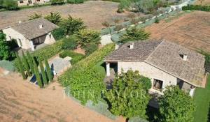 Sale Equestrian estate Llucmajor