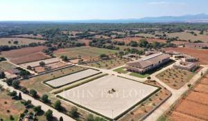 Sale Equestrian estate Llucmajor