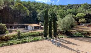 Sale Equestrian estate Valbonne