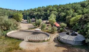 Sale Equestrian estate Valbonne