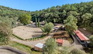 Sale Equestrian estate Valbonne