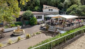 Sale Equestrian estate Valbonne