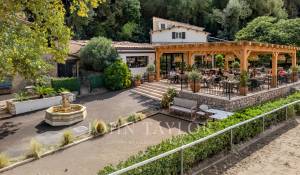 Sale Equestrian estate Valbonne