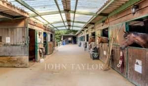 Sale Equestrian estate Valbonne