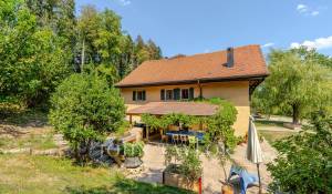 Sale Farm Forel