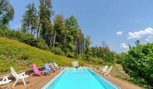Sale Farm Forel