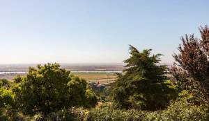 Sale Farm Vila Franca de Xira