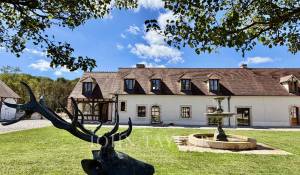 Sale Game reserve Chambord
