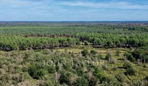 Sale Game reserve Chambord