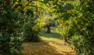 Sale House Aix-en-Provence