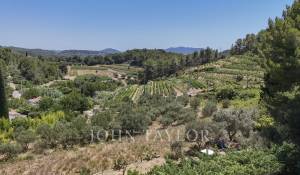 Sale House Bandol