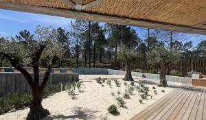 Sale House Carvalhal