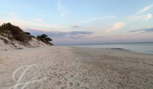 Sale House Carvalhal