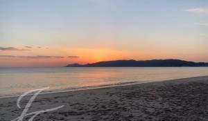 Sale House Carvalhal