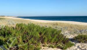 Sale House Carvalhal