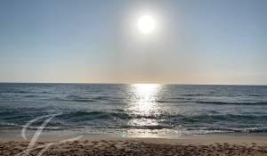 Sale House Carvalhal