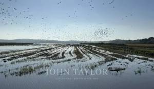 Sale House Carvalhal