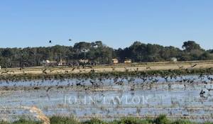 Sale House Carvalhal