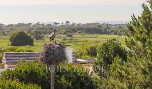 Sale House Carvalhal