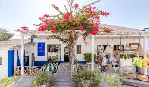 Sale House Carvalhal