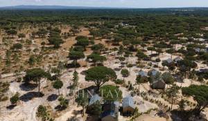 Sale House Carvalhal