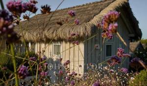 Sale House Carvalhal