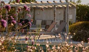 Sale House Carvalhal