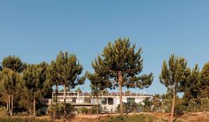 Sale House Carvalhal