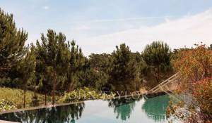 Sale House Carvalhal