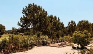 Sale House Carvalhal