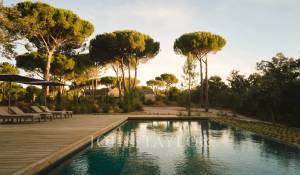 Sale House Carvalhal