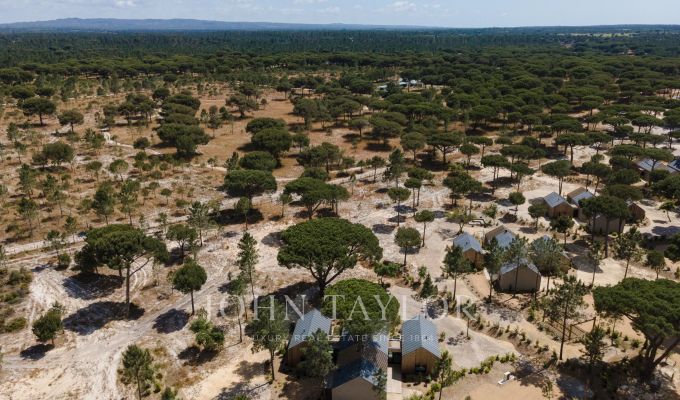 Sale House Carvalhal