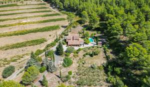 Sale House Cassis