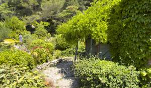 Sale House Cassis