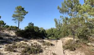 Sale House Comporta