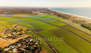 Sale House Comporta