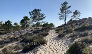Sale House Comporta