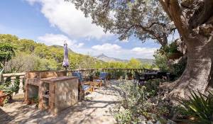 Sale House Es Capdella