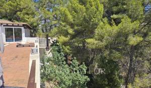 Sale House Es Capdella