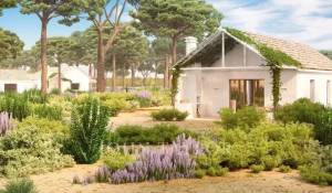 Sale House Grândola e Santa Margarida da Serra