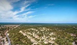 Sale House Grândola e Santa Margarida da Serra