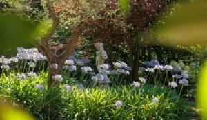 Sale House La Colle-sur-Loup