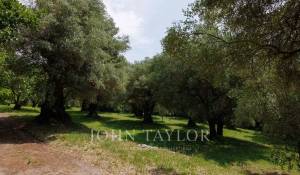 Sale House La Colle-sur-Loup