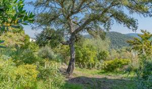 Sale House Les Adrets-de-l'Estérel