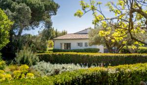 Sale House Les Portes-en-Ré