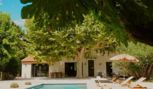 Sale House Maillane