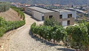 Sale House Mesão Frio (Santo André)