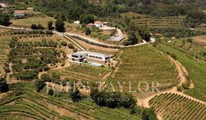 Sale House Mesão Frio (Santo André)