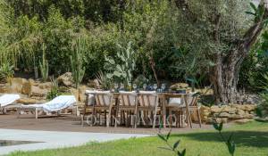 Sale House Opio