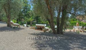 Sale House Opio